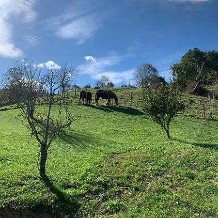 La Casa Azul, Un Oasis De Calma, Vistas Impresionantes Con Piscina, Saltador, Barbacoa Y Acceso Al Río Asón * Ramales de la Victoria