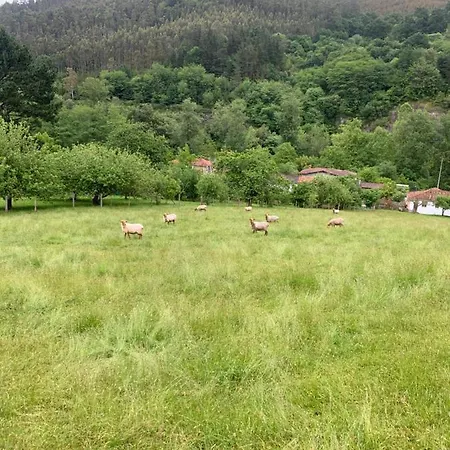 Сasa de vacaciones La Casa Azul, Un Oasis De Calma, Vistas Impresionantes Con Piscina, Saltador, Barbacoa Y Acceso Al Rio Ason *