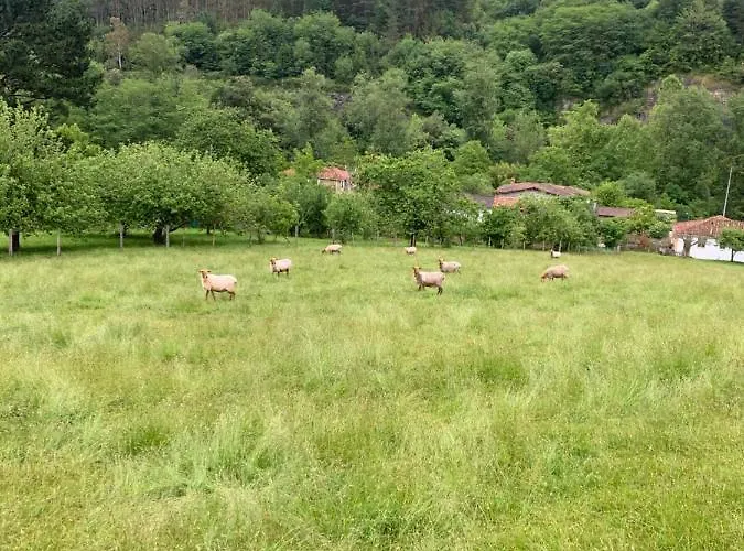 Holiday home La Casa Azul, Un Oasis De Calma, Vistas Impresionantes Con Piscina, Saltador, Barbacoa Y Acceso Al Rio Ason *